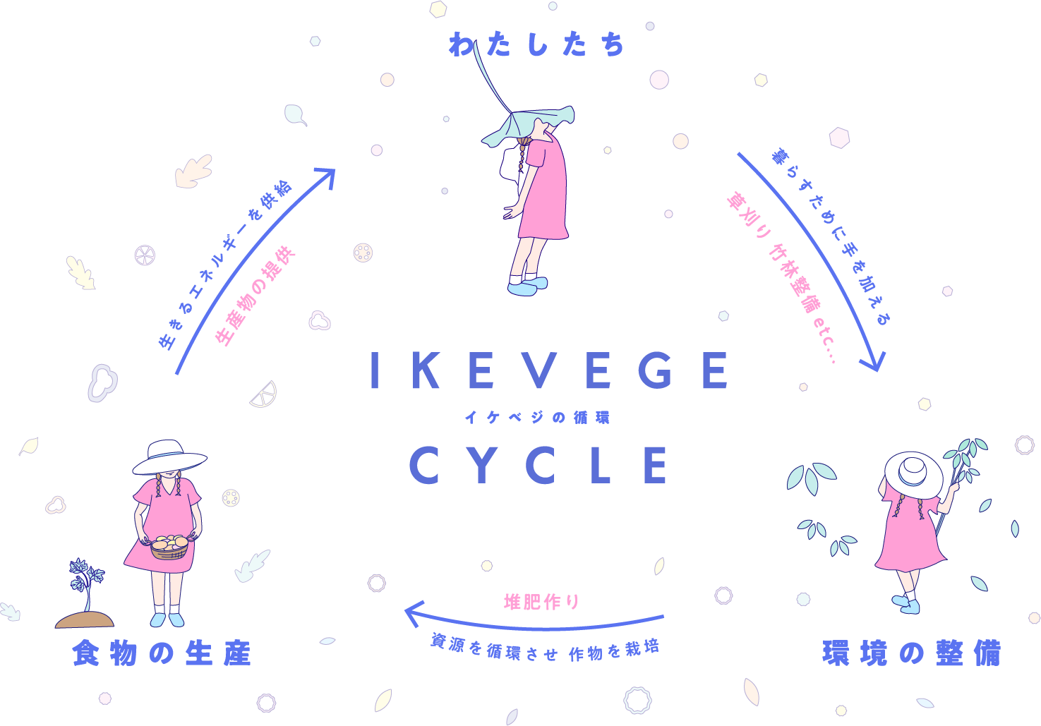 イケベジの循環